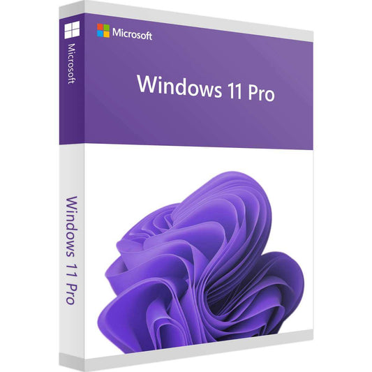 Microsoft Windows 11 Pro Verpackung mit Logo und Design.